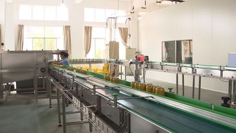 工業新觀察 我市18項工業新產品入圍省評，潤滑油科技項目斬獲一等獎