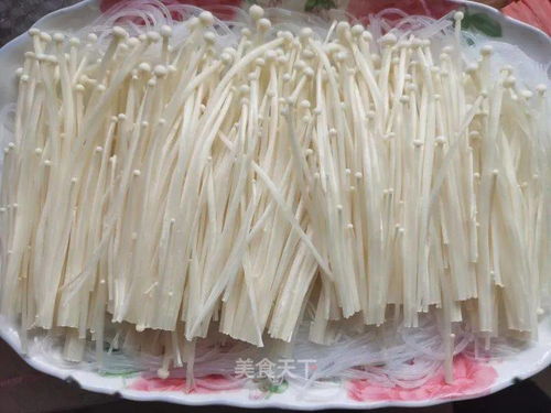 蒜蓉粉絲金針菇 簡易下飯神器，美味百吃不膩